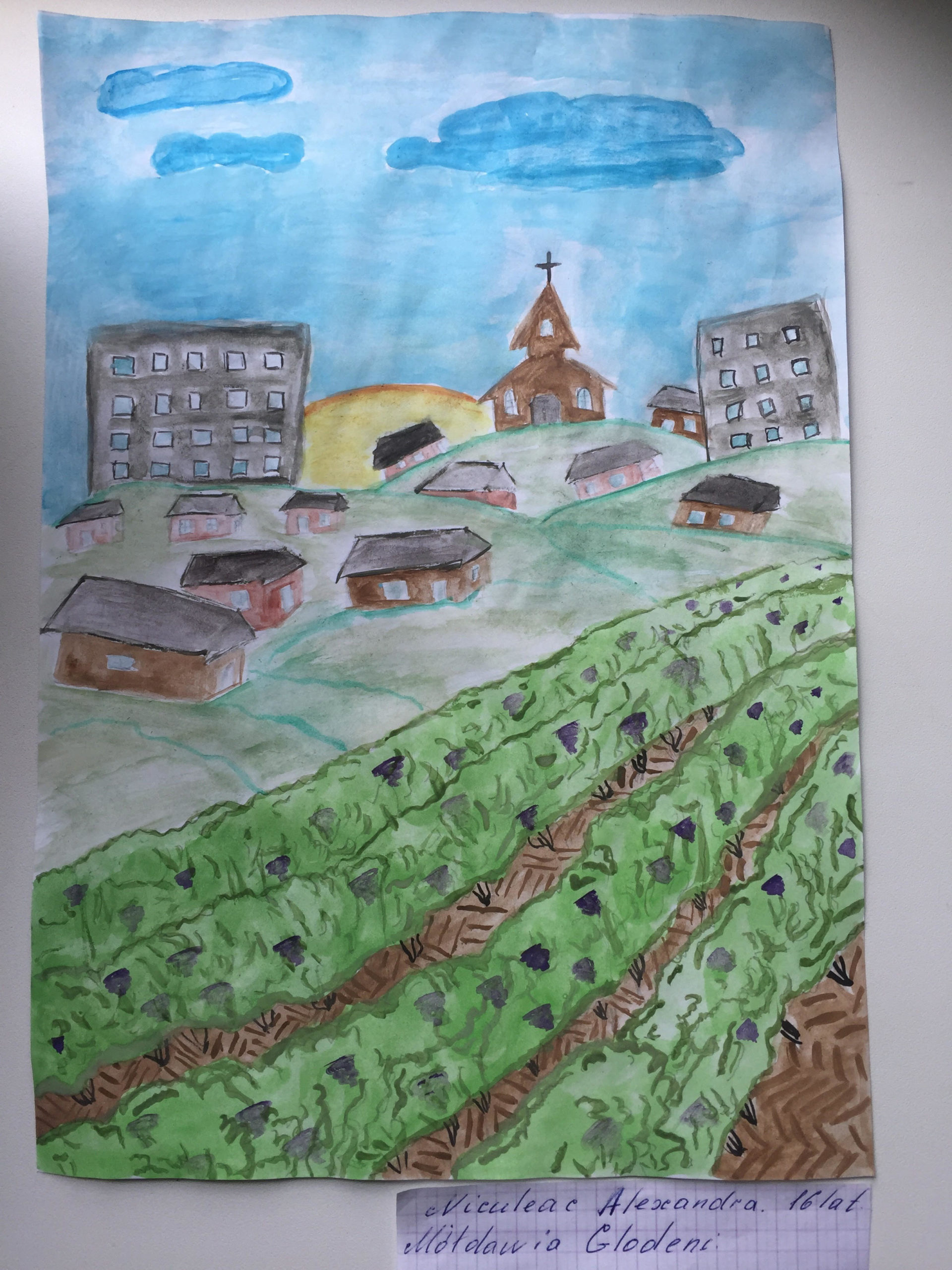 image5